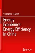 Energy Economics: Energy Efficiency in China