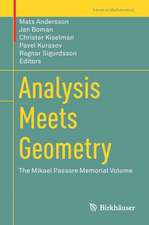 Analysis Meets Geometry: The Mikael Passare Memorial Volume