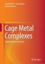 Cage Metal Complexes: Clathrochelates Revisited