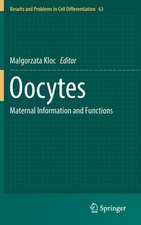 Oocytes