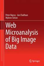 Web Microanalysis of Big Image Data