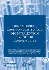 Sub-Municipal Governance in Europe: Decentralization Beyond the Municipal Tier