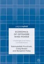 Economics of Offshore Wind Power: Challenges and Policy Considerations