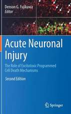 Acute Neuronal Injury: The Role of Excitotoxic Programmed Cell Death Mechanisms