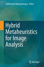 Hybrid Metaheuristics for Image Analysis