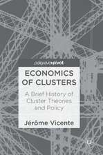 Economics of Clusters: A Brief History of Cluster Theories and Policy