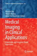 Medical Imaging in Clinical Applications: Algorithmic and Computer-Based Approaches