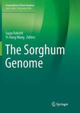 The Sorghum Genome