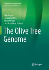 The Olive Tree Genome