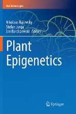 Plant Epigenetics