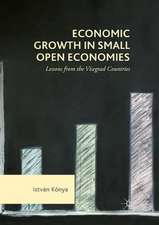 Economic Growth in Small Open Economies: Lessons from the Visegrad Countries