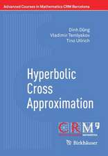 Hyperbolic Cross Approximation