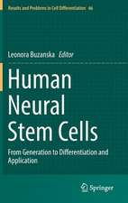 Human Neural Stem Cells