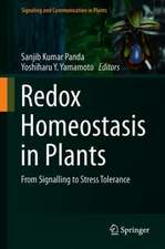 Redox Homeostasis in Plants