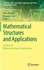 Mathematical Structures and Applications: In Honor of Mahouton Norbert Hounkonnou