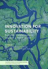 Innovation for Sustainability: Business Transformations Towards a Better World