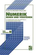 Numerik sehen und verstehen: Ein kombiniertes Lehr- und Arbeitsbuch mit Visualisierungssoftware