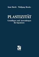 Plastizität: Grundlagen und Anwendungen für Ingenieure