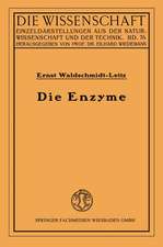 Die Enzyme: Wirkungen und Eigenschaften