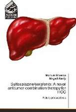 Sulfasalazine/sorafenib: A novel antitumor combination therapy for HCC