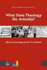 What Does Theology Do, Actually? Vol. 1