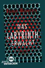 Das Labyrinth erwacht (1)