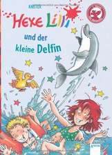 Hexe Lilli und der kleine Delfin