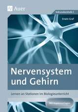 Nervensystem und Gehirn