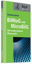 BilMoG und MicroBilG