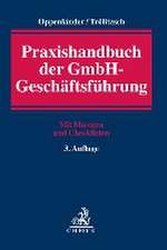 Praxishandbuch der GmbH-Geschäftsführung