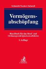 Vermögensabschöpfung