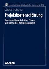 Projektkostenschätzung: Kostenermittlung in frühen Phasen von technischen Auftragsprojekten