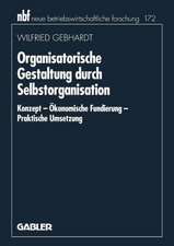 Organisatorische Gestaltung durch Selbstorganisation: Konzept — Ökonomische Fundierung — Praktische Umsetzung