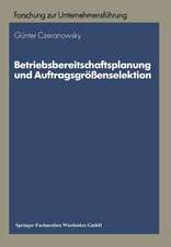 Betriebsbereitschaftsplanung und Auftragsgrößenselektion: Ansätze zur Produktions- und Absatzprogrammplanung