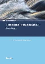 Technische Hydromechanik 1