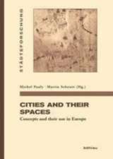 Cities and their spaces: Concepts and their use in Europe