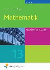 Mathematik 13. Berufliches Gymnasium. Hessen