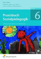 Praxisbuch Sozialpädagogik 6