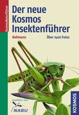 Bellmann, H: neue Kosmos-Insektenführer