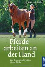 Pferde arbeiten an der Hand