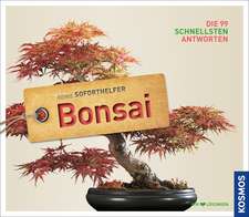 Soforthelfer Bonsai