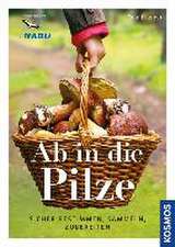 Ab in die Pilze