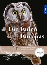 Die Eulen Europas