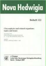 Chrysophytes and related organisms: topics and issues