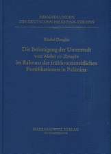 Deutsch-Jordanische Ausgrabungen in Hirbet EZ-Zeraqon 1984-1994, Endberichte Band III (1)