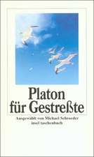 Platon für Gestreßte