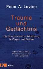 Trauma und Gedächtnis