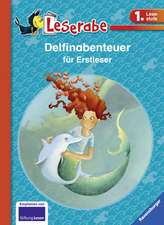 Delfinabenteuer für Erstleser