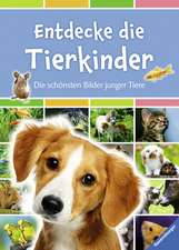 Entdecke die Tierkinder