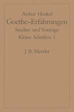 Goethe-Erfahrungen: Studien und Vorträge. Kleine Schriften 1